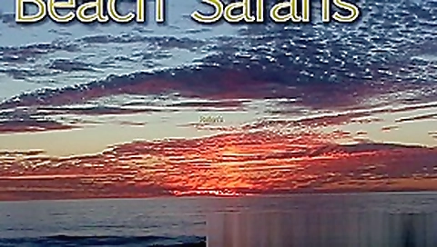 Beach by Camera (Beach Safaris Sex 34-35) Beach by Camera (Beach Safaris Sex 34-35)