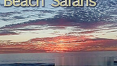 Rafians Beach Safaris 30 Rafians Beach Safaris 30