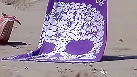 Swingers sex on the beach Swingers sex on the beach