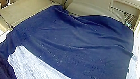 Milf playing with herself in back of car Milf playing with herself in back of car