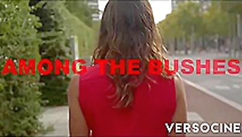 VERSO CINEMA Among The Bushes VERSO CINEMA Among The Bushes