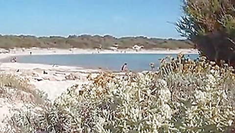 Undisturbed nude on clothed beach Undisturbed nude on clothed beach