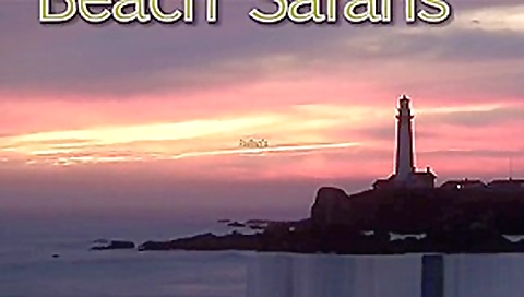 Rafian Beach Safaris 23 HD Rafian Beach Safaris 23 HD