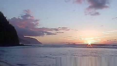 beach safaris sex 11 hd beach safaris sex 11 hd