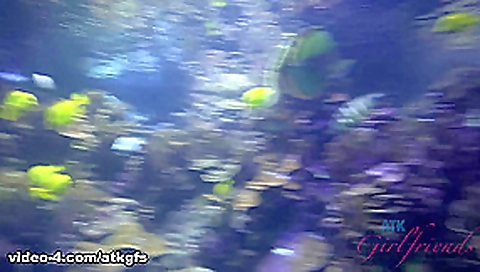 Rosalyn Checks Out The Aquarium, And Does Some Snorkeling - ATKGirlfriends Rosalyn Checks Out The Aquarium, And Does Some Snorkeling - ATKGirlfriends