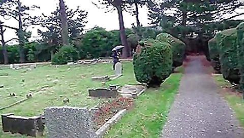 Slut wife exposing herself and pissing in a cemetery Slut wife exposing herself and pissing in a cemetery