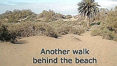Another walk behind the beach Another walk behind the beach
