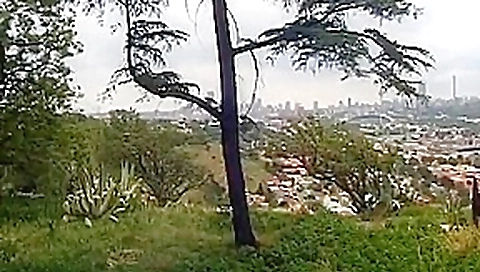 African slave girl gets flogged African slave girl gets flogged