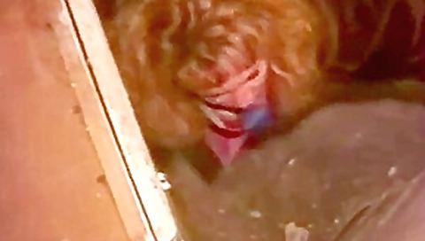 Public anal fucking in paris Public anal fucking in paris