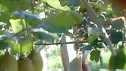 CLIP #197 _ Voyeurismo Public Sex CLIP #197 _ Voyeurismo Public Sex