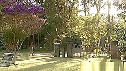 Hot teen 18+ Maturbation in Cemetary Hot teen 18+ Maturbation in Cemetary