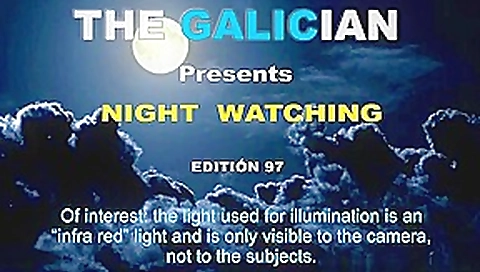 Galician Night 97 Galician Night 97