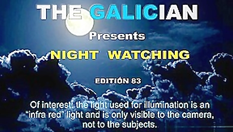 Galician Night 83 Galician Night 83