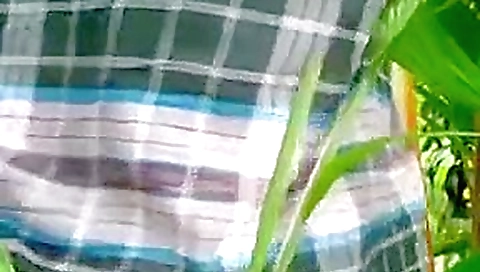 Indian Aunty Sex In a Field Indian Aunty Sex In a Field