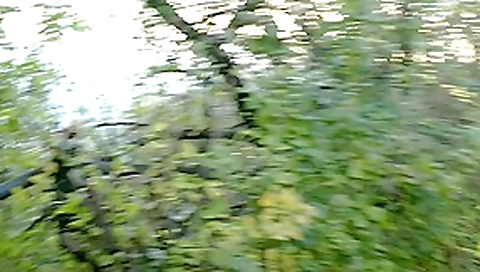Public adventure with blowjob Public adventure with blowjob