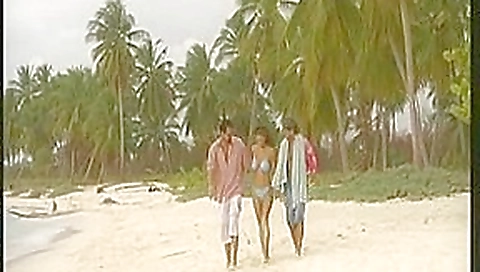 Ravishing brunette hair acquires a double penetration at the beach Ravishing brunette hair acquires a double penetration at the beach