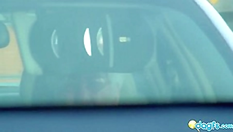 Sexy Black gf Rane driver seat blowjob Sexy Black gf Rane driver seat blowjob