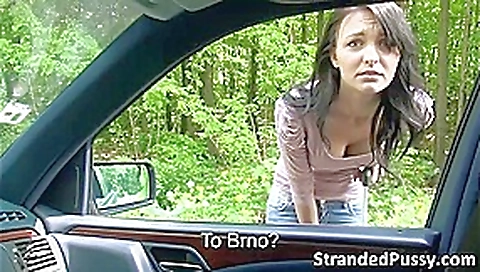 Brunette Belle Claire gets banged hard in the car by the stranger Brunette Belle Claire gets banged hard in the car by the stranger