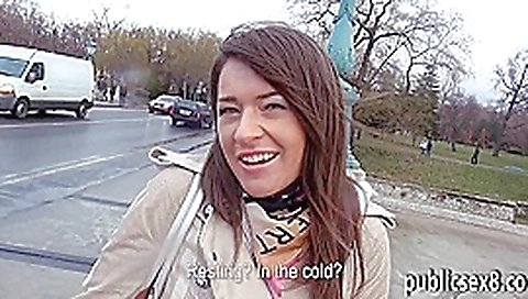 Bushy Eurobabe drilled inside the car of stranger guy Bushy Eurobabe drilled inside the car of stranger guy