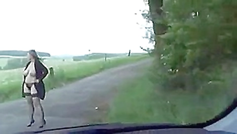 Baise avec une cochonne Baise avec une cochonne